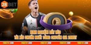 Kinh nghiệm bắt kèo tài xỉu chuẩn nhất cùng chuyên gia 28bet