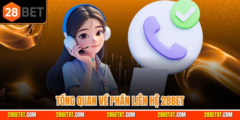 Tổng quan về phần liên hệ 28bet